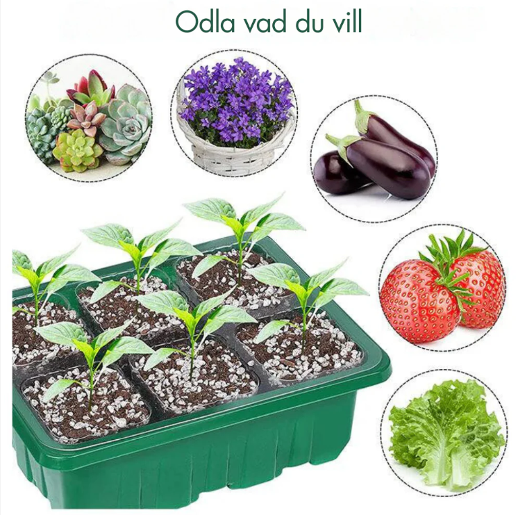 Inomhusväxthus med LED och luftcirkulation