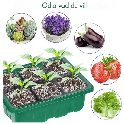 Inomhusväxthus med LED och luftcirkulation